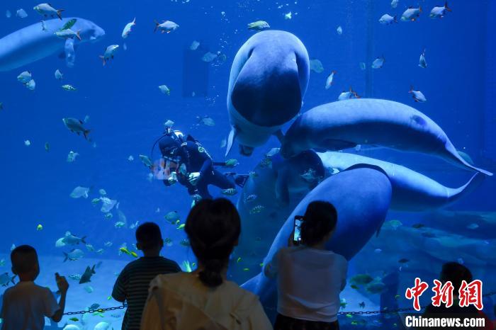 珠海长隆飞船乐园